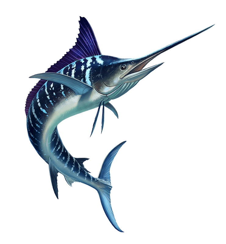 Big Game Fishing in Mauritius