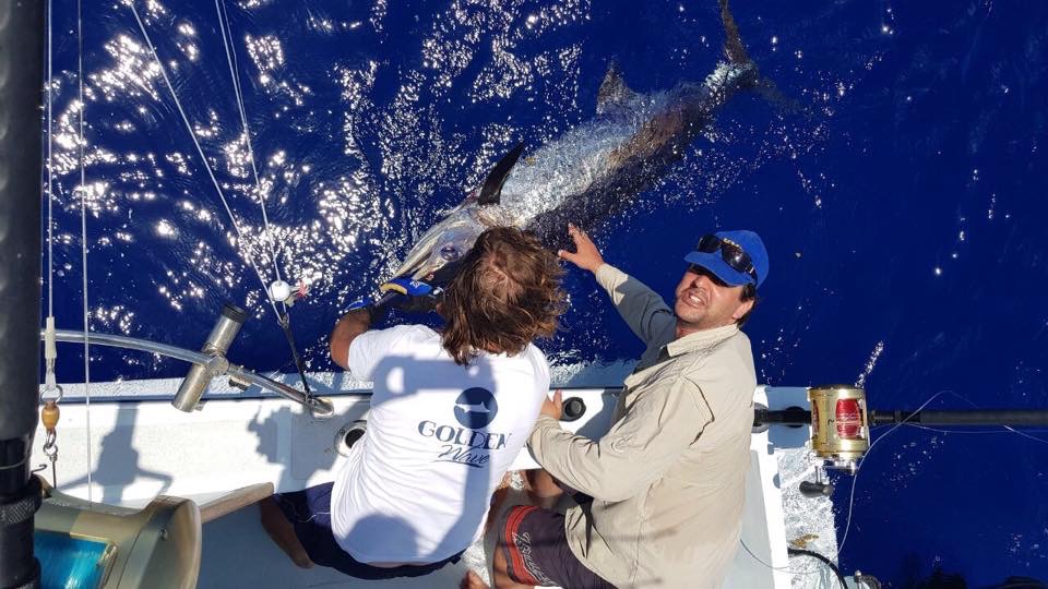 Deep Sea Fishing Mauritius