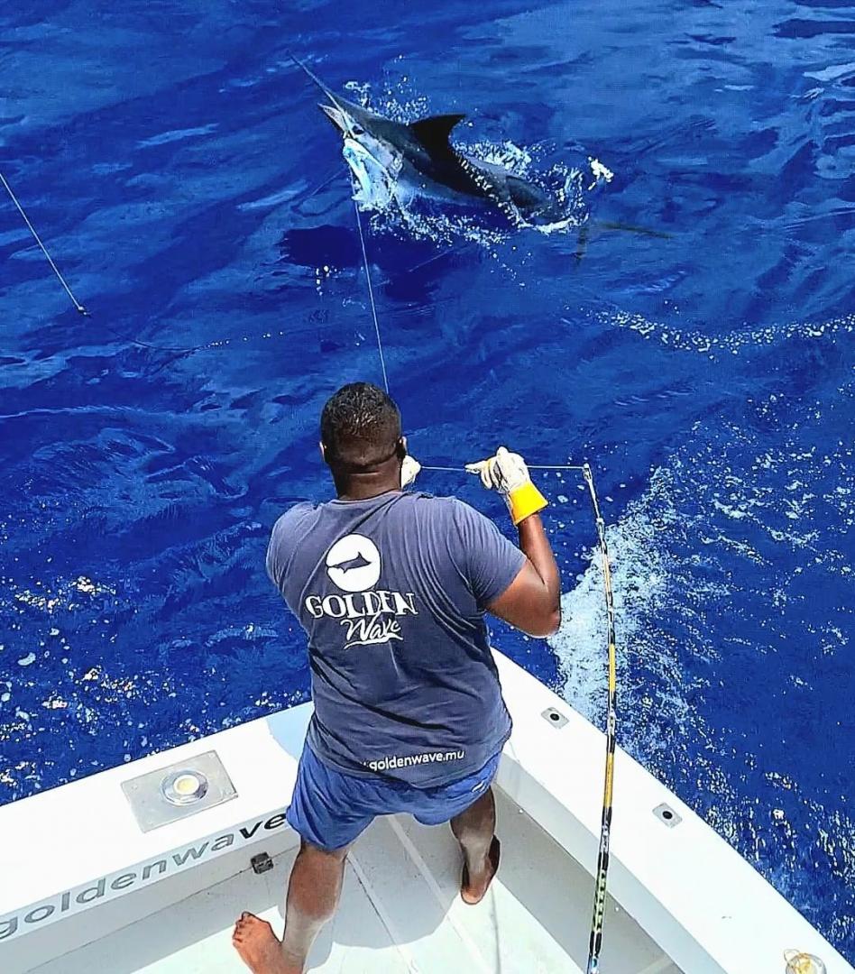 Blue Marlin Big Game Fishing Mauritius