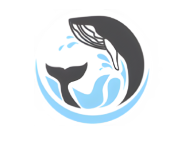 whale Dream