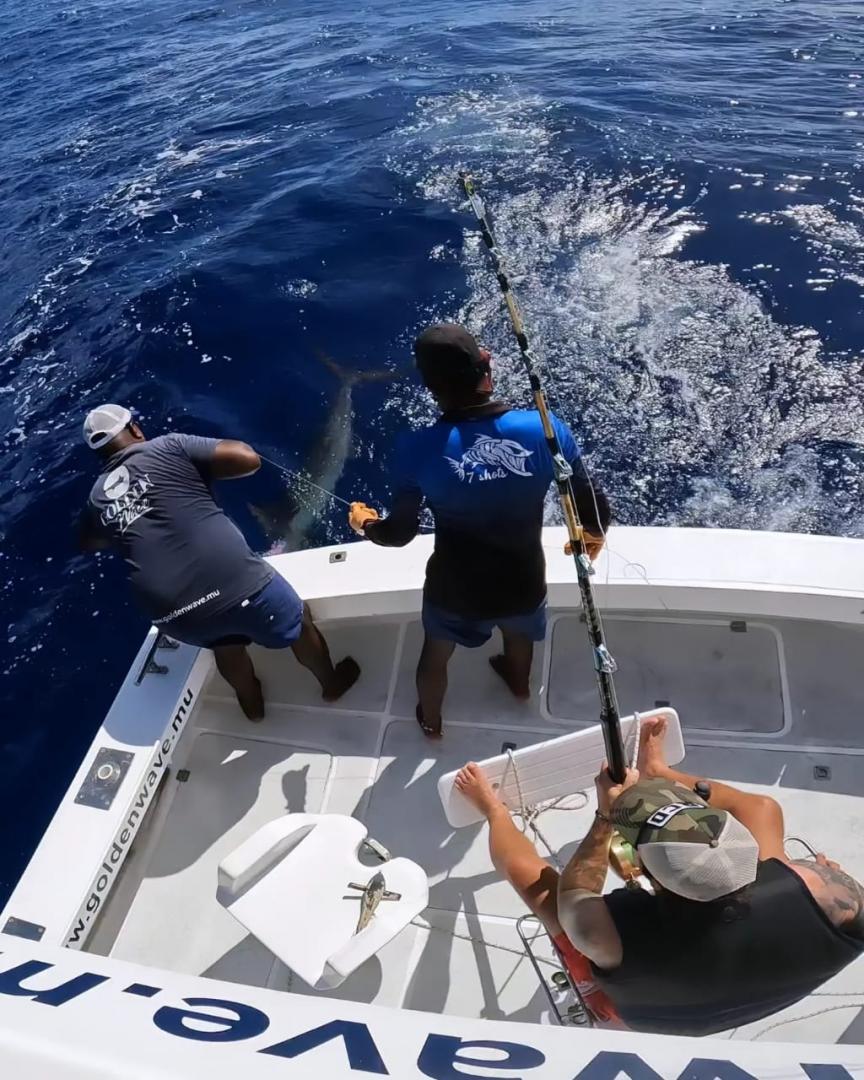 Pêche marlin Île Maurice
