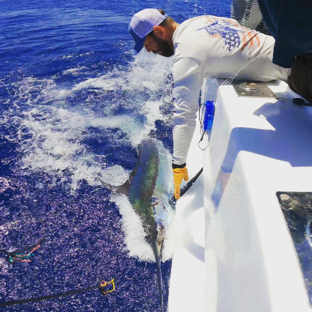 Sport Fishing Mauritius